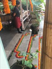 by kirmily, Views[247]