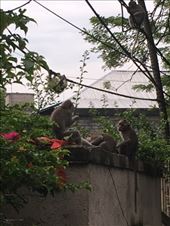 by kirmily, Views[238]