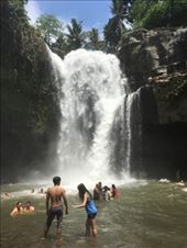 by kirmily, Views[400]