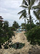 by kirmily, Views[174]