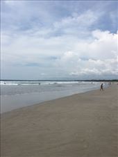 by kirmily, Views[171]