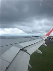 by kirmily, Views[272]