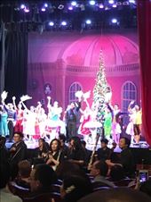 by kirmily, Views[258]