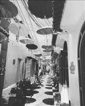 Getsamani : by kirmily, Views[284]