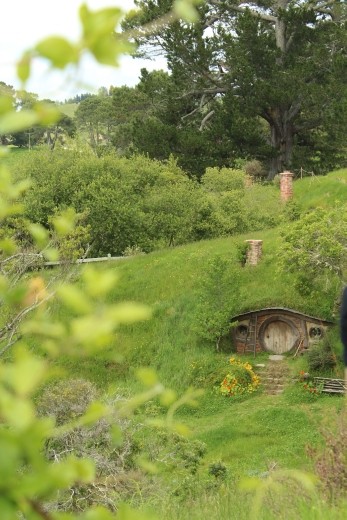Upon standing on a hill I was able to look down among the Shire and view those hidden chimneys where I could see both life and death among the wildlife. To me the blurred plant life tries to shun the grey withering tree, so my eyes are drawn to the more simple less vibrant beauty of the land.