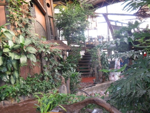 Oh My Gulay (Treehouse Restaurant) # 2