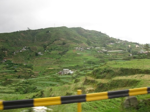 rice terraces from a different angle