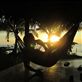 Stop! Hammock time! : by kirstenvelthuis, Views[323]