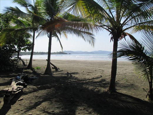 Surf beach, Santa Catalina