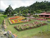 Annual orchid fair in Boquete: by kirstenvelthuis, Views[320]