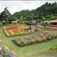 Annual orchid fair in Boquete: by kirstenvelthuis, Views[319]