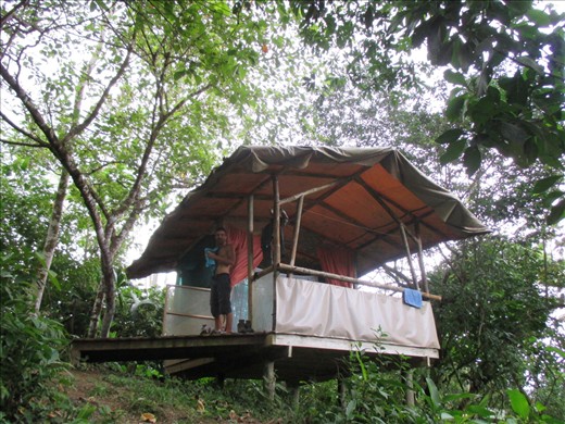 Our tent at the Jungle lodge, Puerte Jimenez