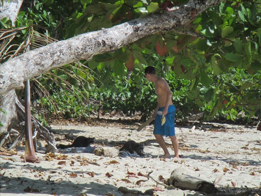 What happens when people feed wildlife 2: fending them off