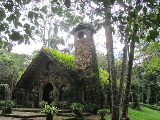 Selva Negra eco-resort. even the chapel roof is green