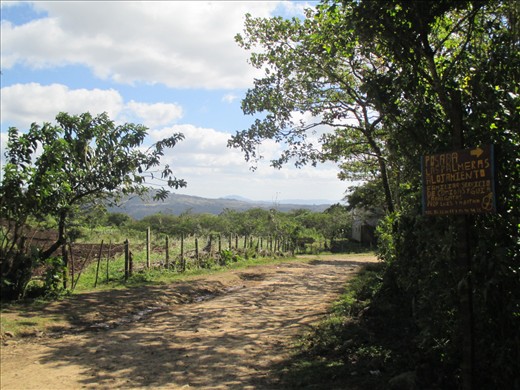 Homestay 'Las Palmeras' in Miraflor Reserve
