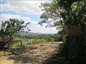 Homestay 'Las Palmeras' in Miraflor Reserve: by kirstenvelthuis, Views[1321]