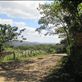 Homestay 'Las Palmeras' in Miraflor Reserve Views[1307]