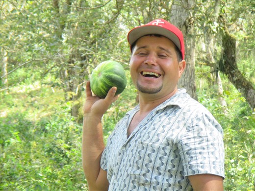 Alex, our horse-riding leader, finds a squash in the bush. dinner!