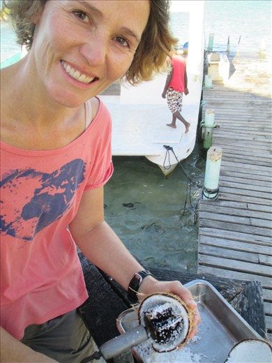 Fresly ground coconut for breakfast...Tobacco Caye