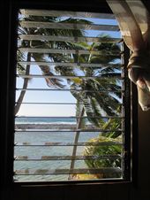 Tobacco Caye: by kirstenvelthuis, Views[241]