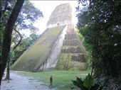 Arnold at Temple V, Tikal: by kirstenvelthuis, Views[301]