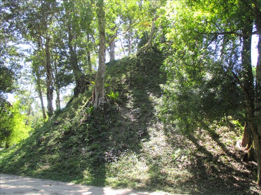 One of many ruins waiting to be unearthed, Tikal