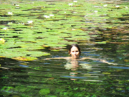 Testing the waters, Dzibilchaltun