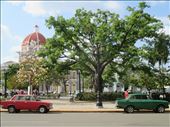 Cienfuegos town square: by kirstenvelthuis, Views[161]