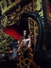 by kirsty_nz, Views[202]