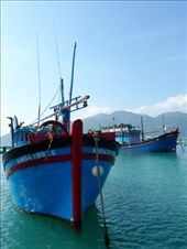 by kirsty_nz, Views[234]