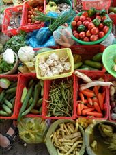 by kirsty_nz, Views[214]