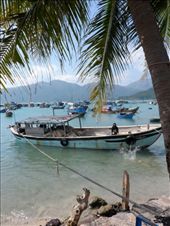 by kirsty_nz, Views[172]