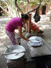 by kirsty_nz, Views[142]