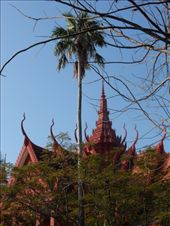 by kirsty_nz, Views[188]