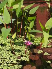 by kirsty_nz, Views[190]