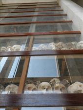 by kirsty_nz, Views[184]