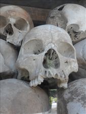 by kirsty_nz, Views[169]