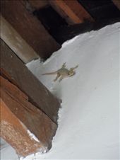 by kirsty_nz, Views[154]