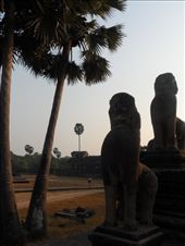 by kirsty_nz, Views[137]