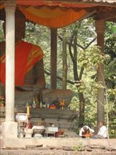 by kirsty_nz, Views[153]