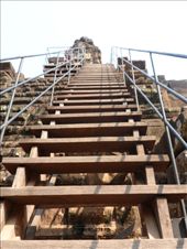 by kirsty_nz, Views[120]