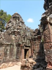 by kirsty_nz, Views[151]