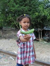 by kirsty_nz, Views[112]