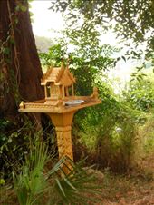 by kirsty_nz, Views[105]