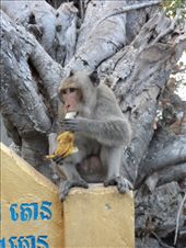 by kirsty_nz, Views[124]