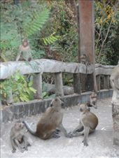 by kirsty_nz, Views[120]