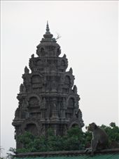 by kirsty_nz, Views[129]