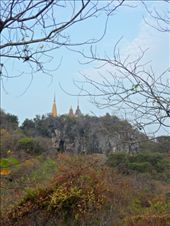 by kirsty_nz, Views[167]