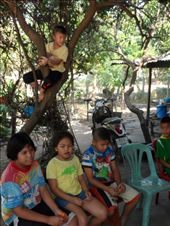 by kirsty_nz, Views[275]