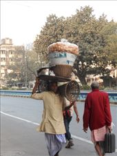 by kirsty_nz, Views[238]